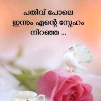 Aboobacker sideeq Aboobacker Sideeq
