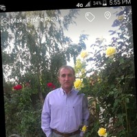 Ibo yilmaz
