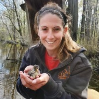 Cindy Von Haugg, Awb®