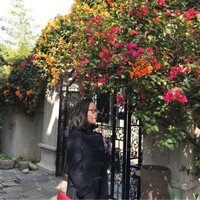 Diane Cheung