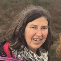 Rita Monteyne