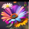 Asha Gite