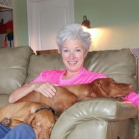 Beth Morrill