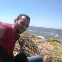Amr Bakr