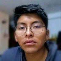 Manuel Alejandro Perez Vino