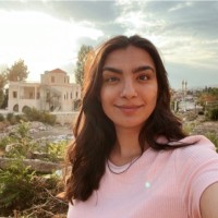 Hibah Wehbe