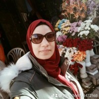 sohila Hashem