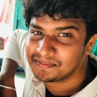 Saravanakumar Palani