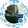 Hetty Den Oude