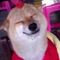 叶忠正