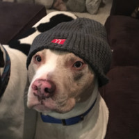 Christopher Harrington