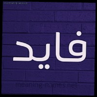 Fayed Alshammari