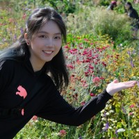 Yan Li
