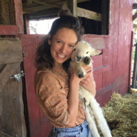 Savannah Livengood