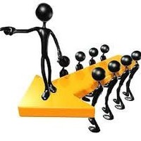 Project Coordinator