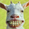 Jack Chidester
