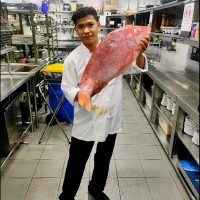 Yuli Haris Pujianto