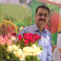 AK Sharma