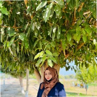 Aisha Naseer