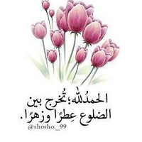 Mutasem Alnawafleh