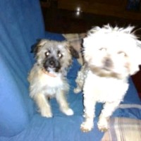 David Sanchez Jimenez