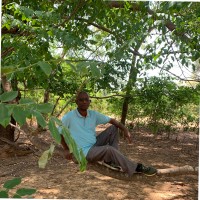 Ibrahima Chérif DIALLO