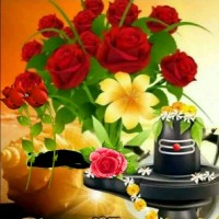 Anuj Rajput