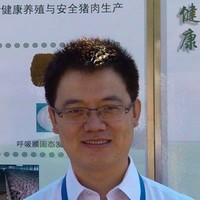 Junjun Wang