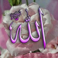 Mohamed Moulay
