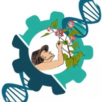 Ethnopharmaco' project by ESITech