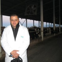 Cem Uğurel