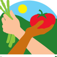 Everyones Harvest