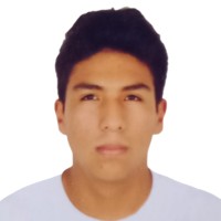 Jorge Luis Roca Salvatierra