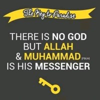 Mohammed Alimam