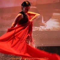 Cécile BERREBI de NOAILLES