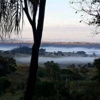 Marco Aurélio Sargaço