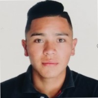 michel steven bejarano ochoa