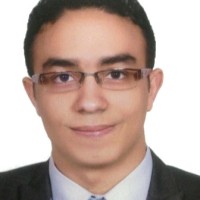 Hossam Abdelmoaty