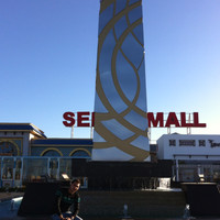 Sam Essam