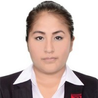 LILI BRIDID MARCELO NAVARRO