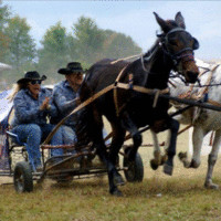 Brian leathers Kentucky Kaos Racing