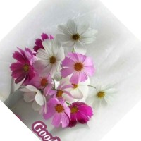 Harees Ahmed