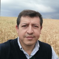 Arnaldo Torres