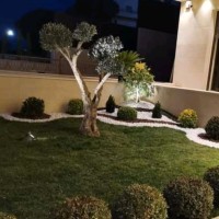 مشاتل وازهار لتنسيق الحدائق