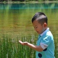 康国锋
