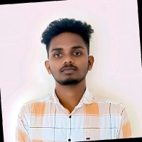 P. Thamaraiselvan Selvan
