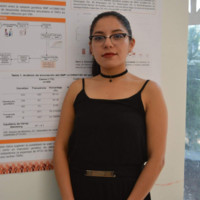 Azucena Olivares