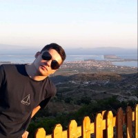 Timur H.