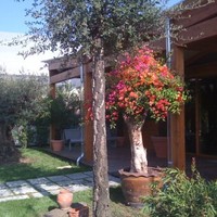 PISTOIA PIANTE Barbara Gentile