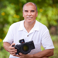 James Roy